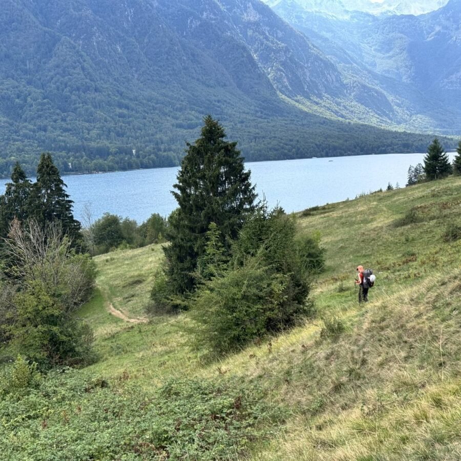 Abstieg über Almwiesen zum Bohinjer See