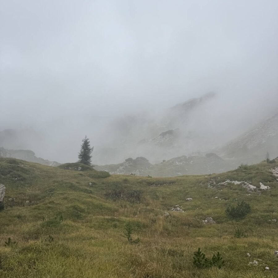 Nebel zieht über die Hochfläche am Bogatin