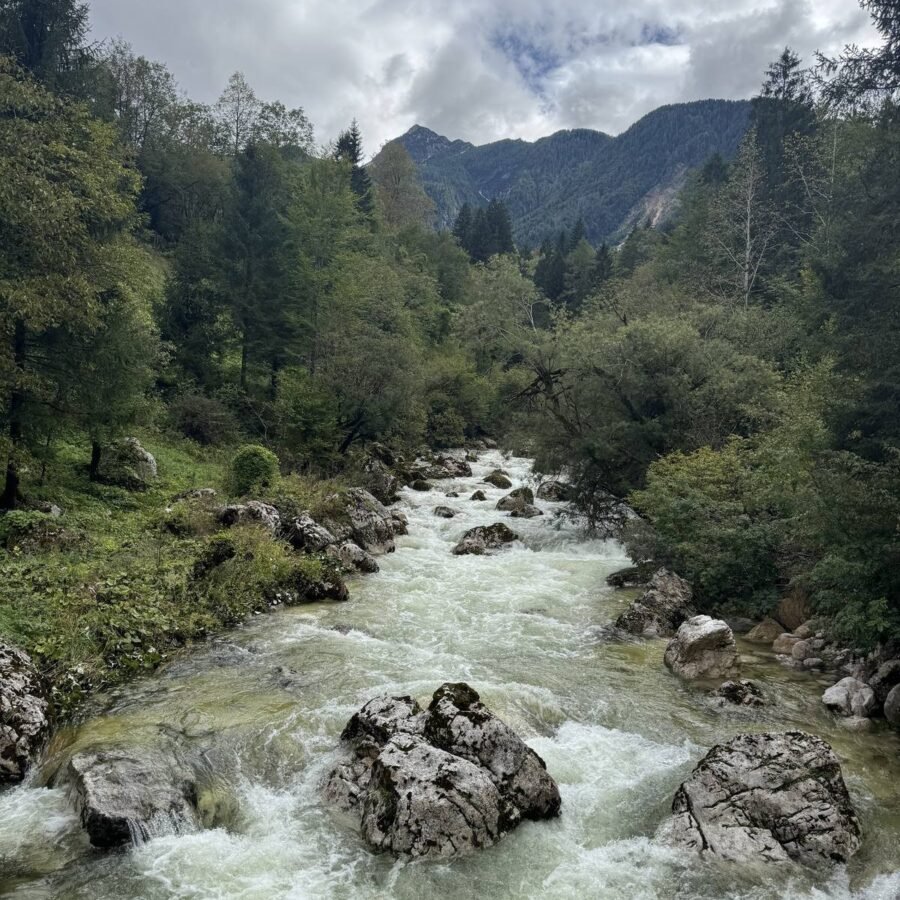 Die Soča führt nach den Regentagen viel Wasser durch die Schlucht